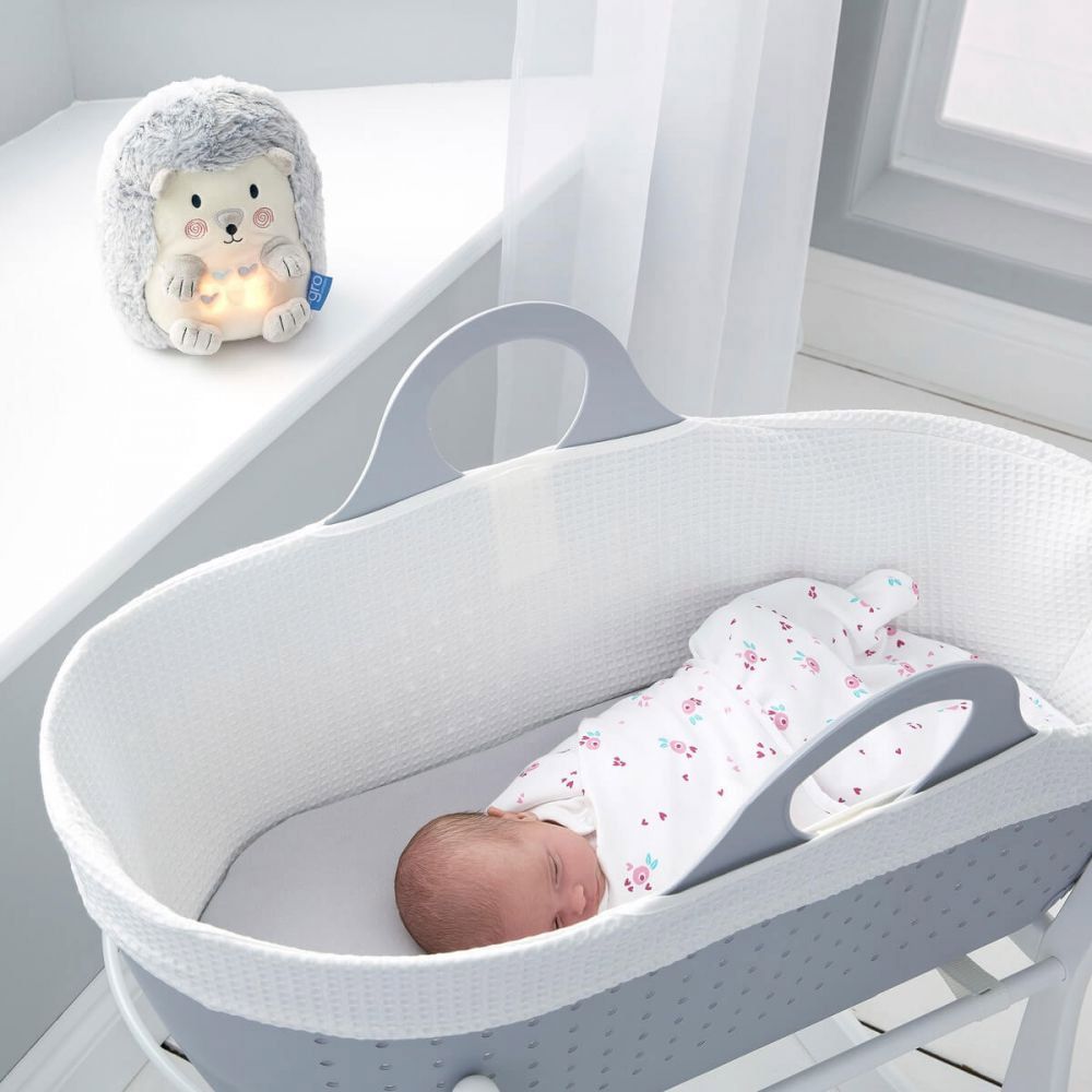 Henry the Hedgehog lifestyle 