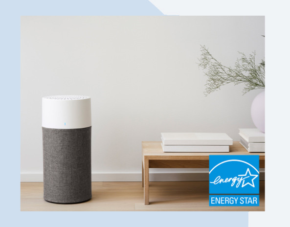 Easy to Use Blueair Joy S