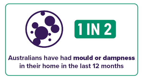 Mould Infographic Banner