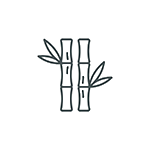 Bamboo