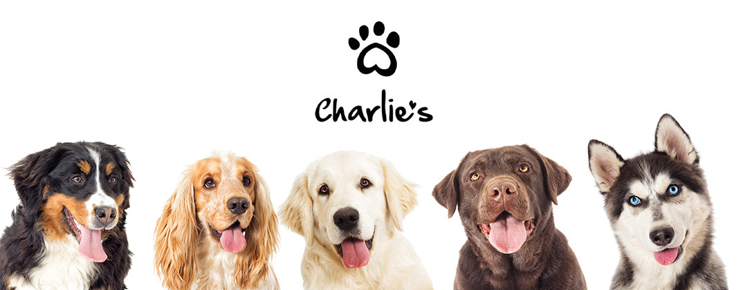 Charlie's Mobile Banner