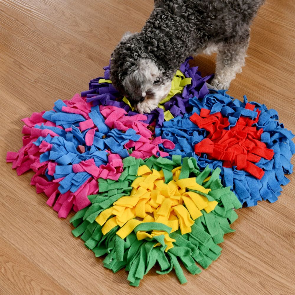 Charlie's Snoofy Snuffle Mat 4-Quadrant Multicolour