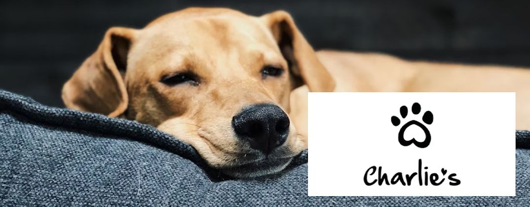 Charlie's Mobile Banner