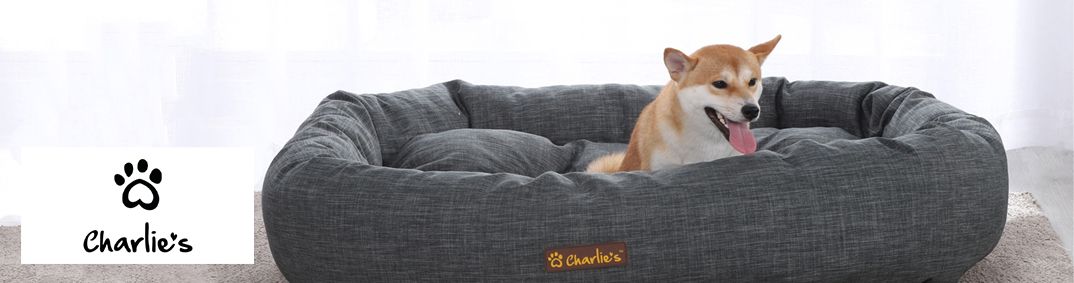 Charlies Desktop Banner