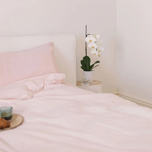 Bambury BB Cotton Fitted Sheet Set on a styled bed