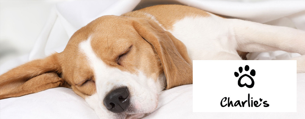 Charlies Mobile Banner