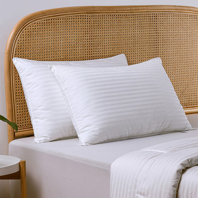 Dreamaker Microfibre Pillow Standard Twin Pack