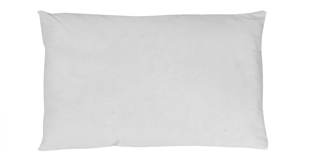 Charlie's Pet Pillow Dog Bed Insert