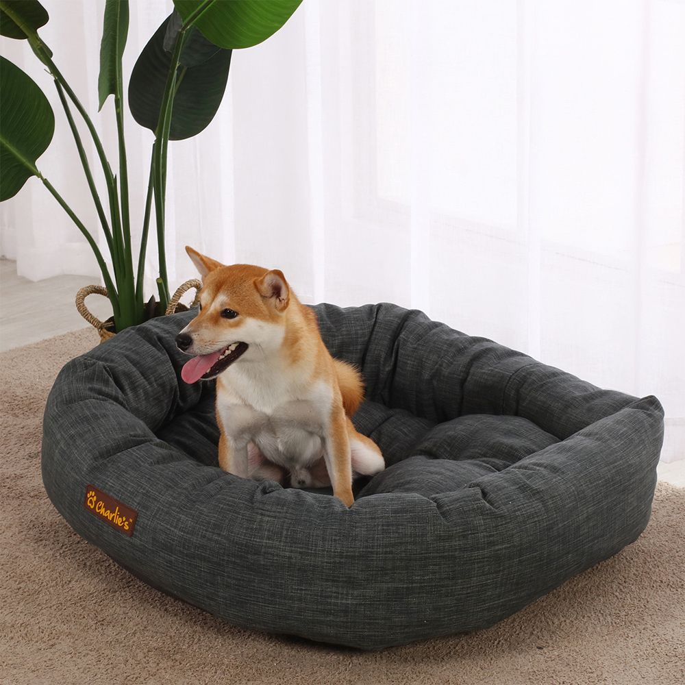 Dog sitting on the dog bed 2