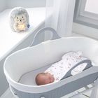 Henry the Hedgehog lifestyle 