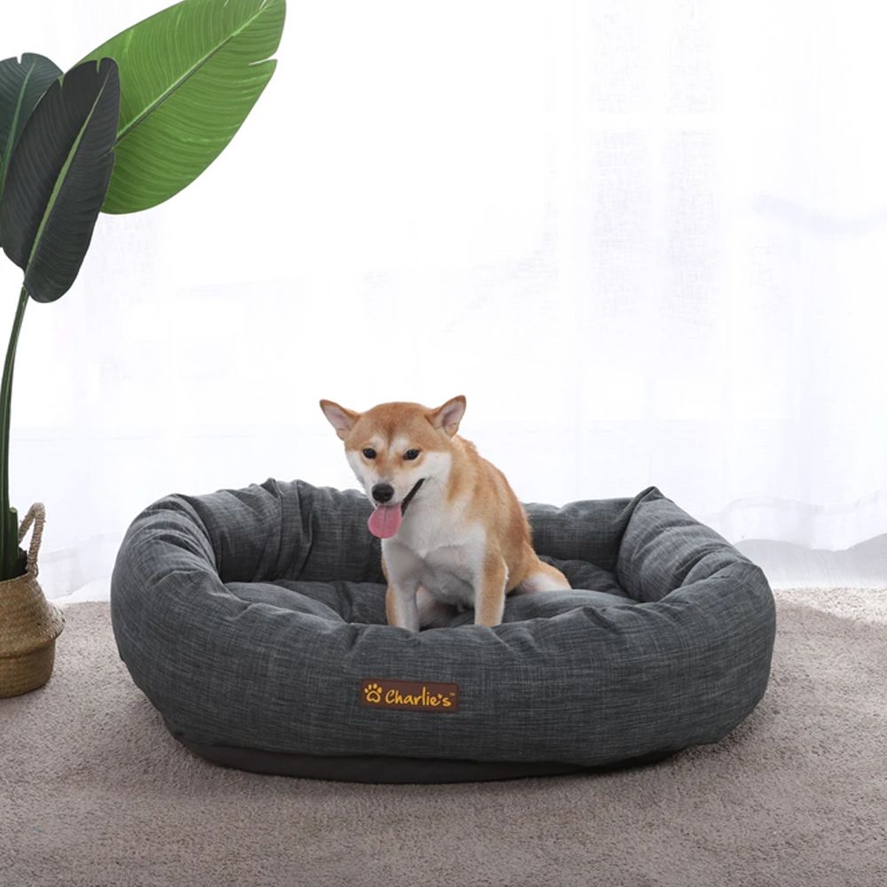 Dog sitting on the dog bed