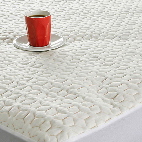 Revolutionize your sleep with Protect-A-Bed