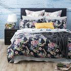 Renee Taylor Sophie 300 Thread Count Cotton Quilt Cover Set