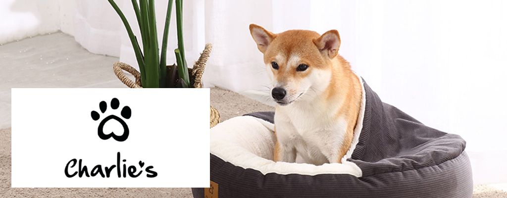 Charlies Mobile Banner