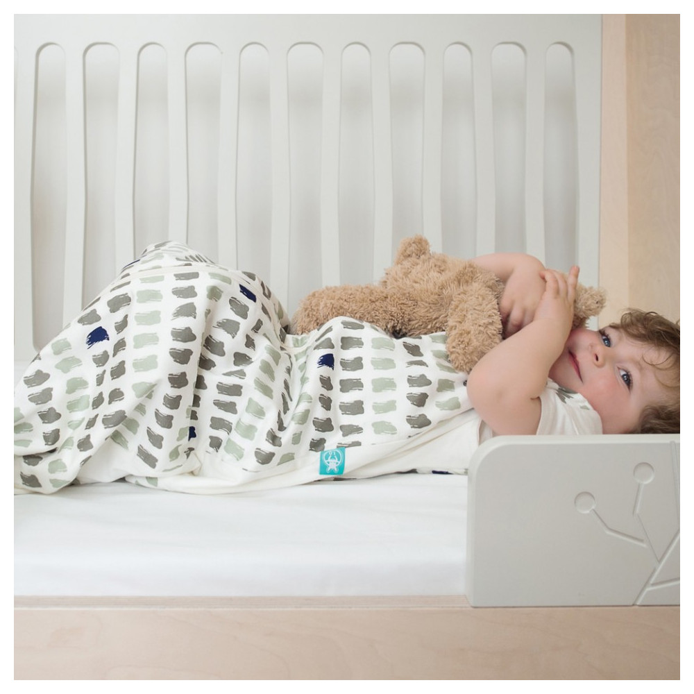 ErgoPouch Bamboo and Organic Cotton Sleeping Bag 1 Tog Paint Boy