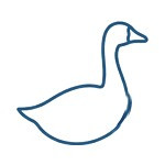 Goose Down