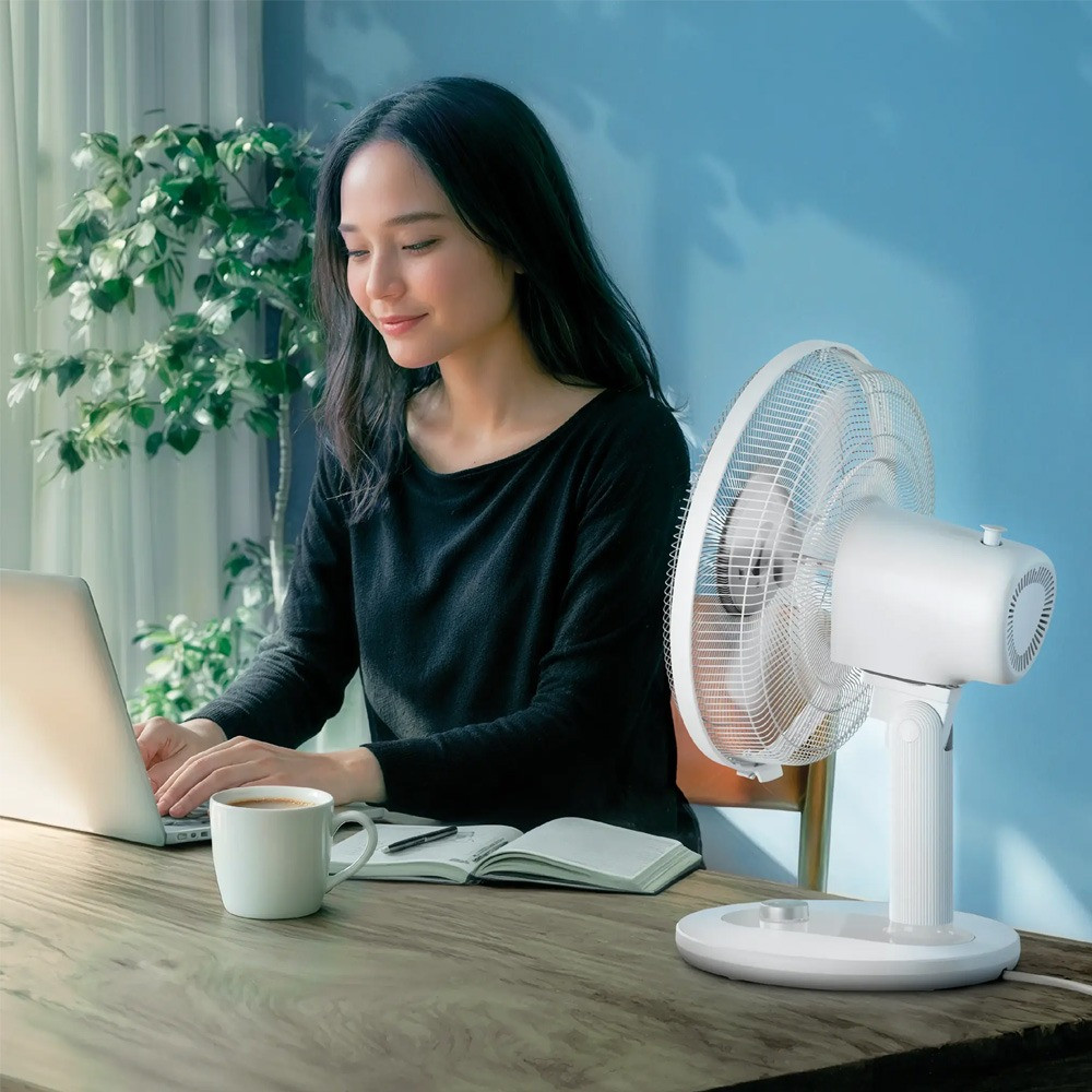 Philips Series 1000 Desk Fan