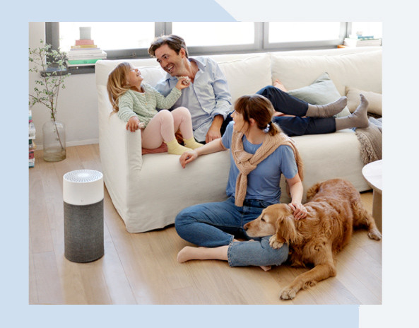 Easy to Use Blueair Joy S