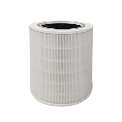 Ionmax ION530 Lavish Plus Replacement Filter