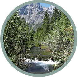 Rocky Mountain Stream