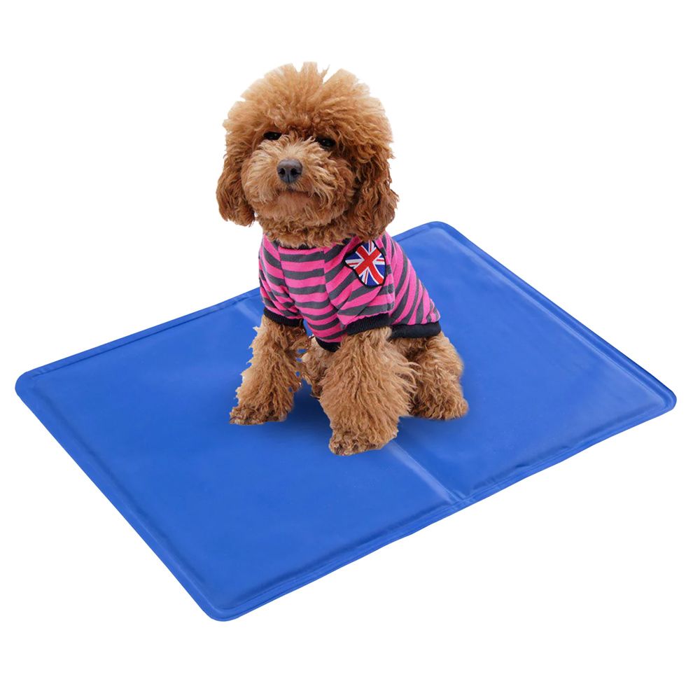 Charlie's Furry Best Friends Pet Cooling Mat