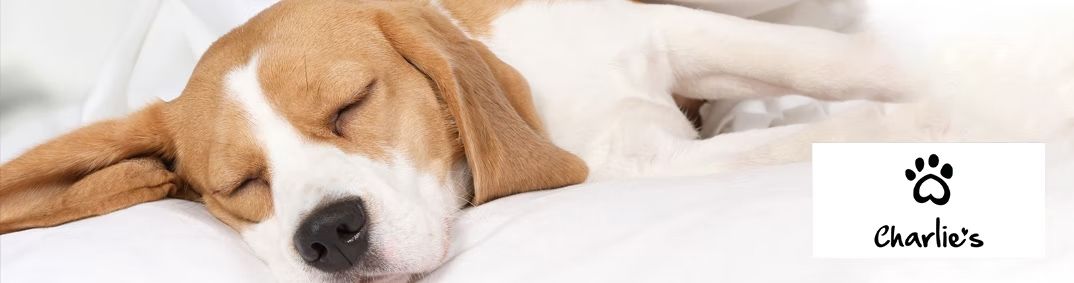 Charlie's Desktop Banner