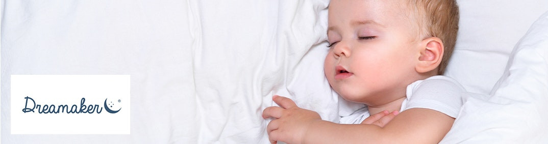 Dreamaker Desktop Banner