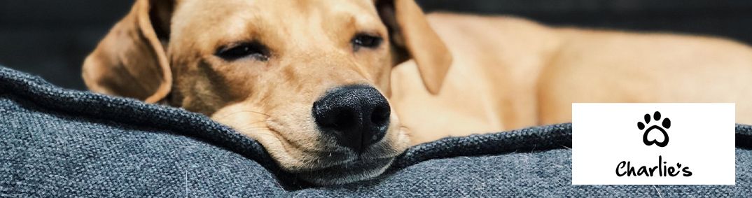 Charlie's Desktop Banner