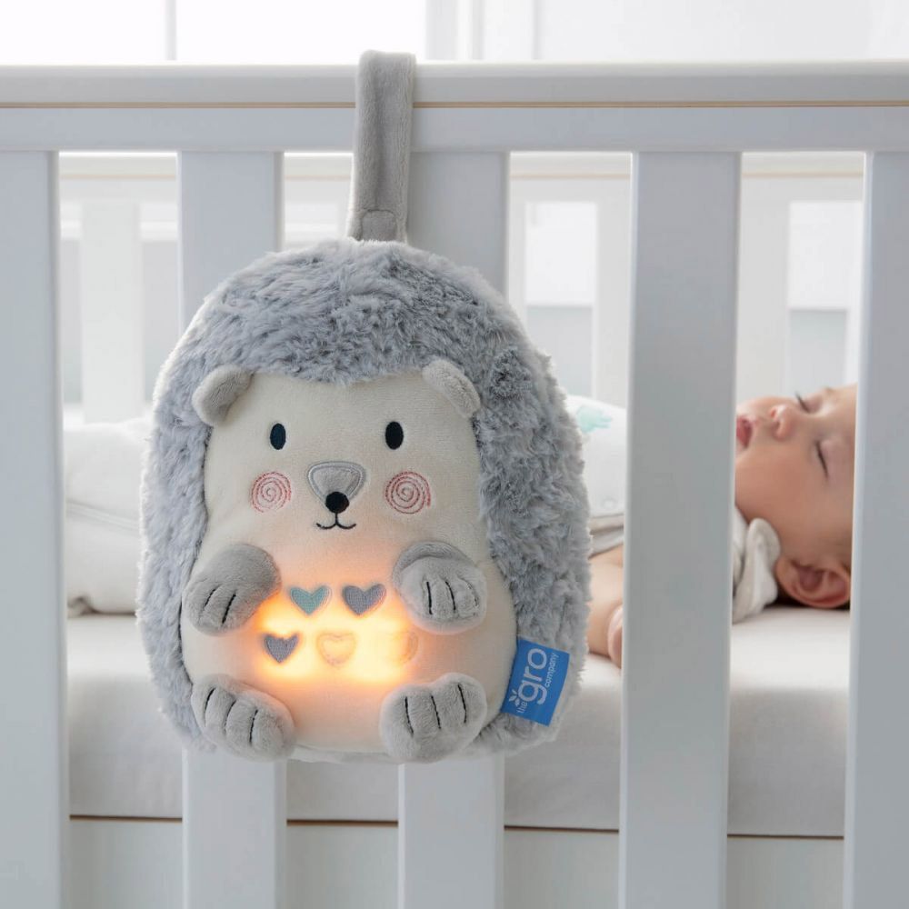 Henry the Hedgehog lifestyle 