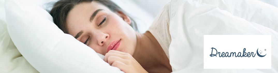 Dreamaker Desktop Banner