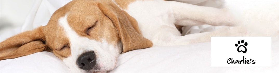 Charlies Desktop Banner