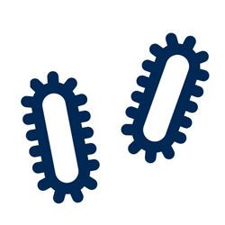 Bacteria & Viruses Icon