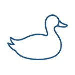 Duck Down