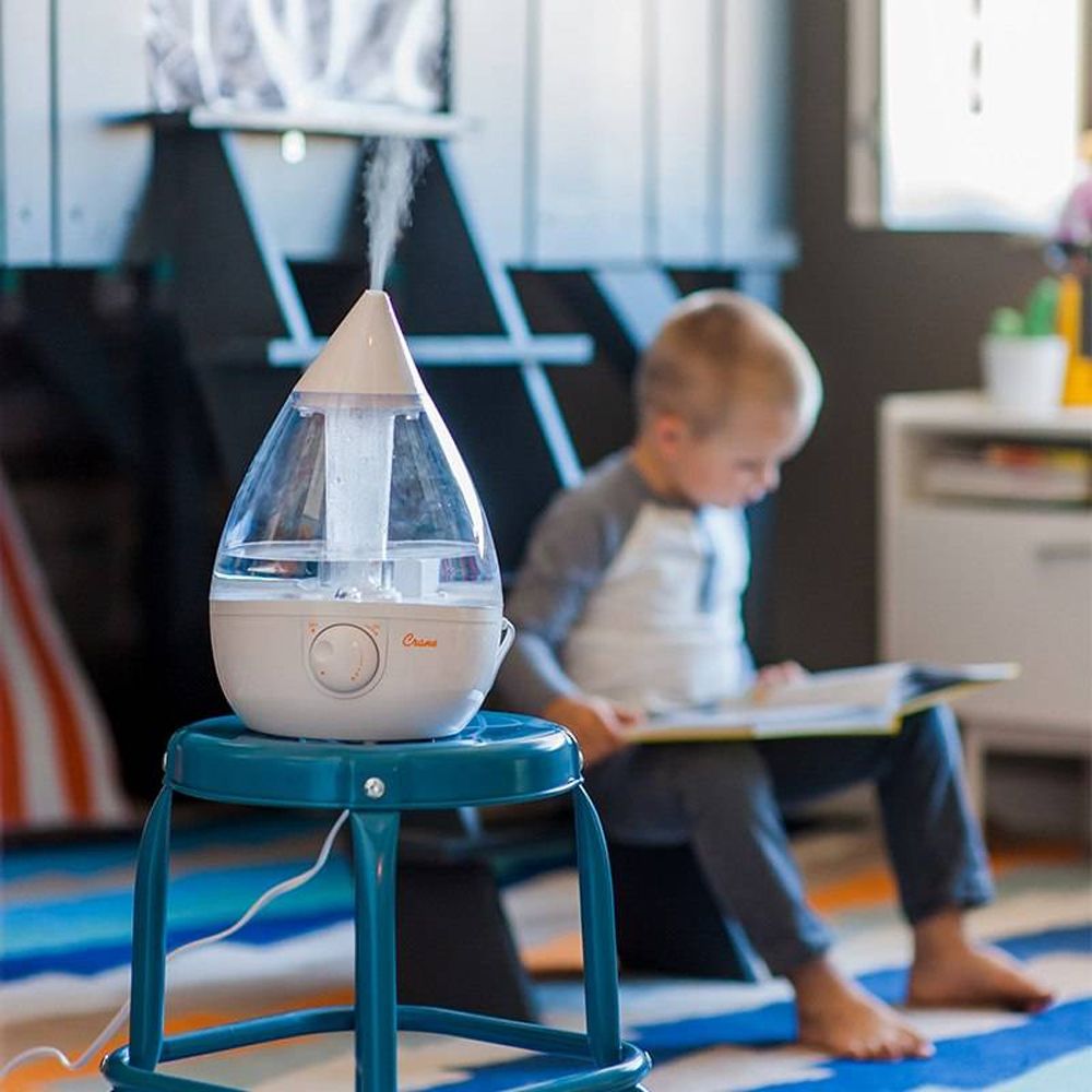 Mom and Daughter with the Humidifier on the foreground