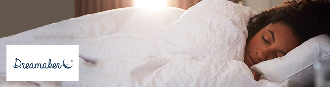 Dreamaker Desktop Banner