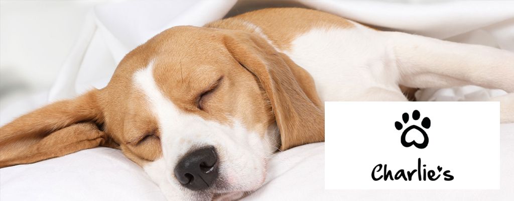 Charlies Mobile Banner