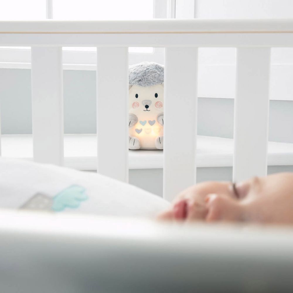 Henry the Hedgehog lifestyle 