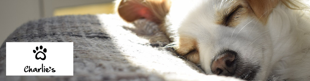 Charlies Desktop Banner