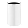 Blueair Joy S Particle + Carbon Replacement Filter