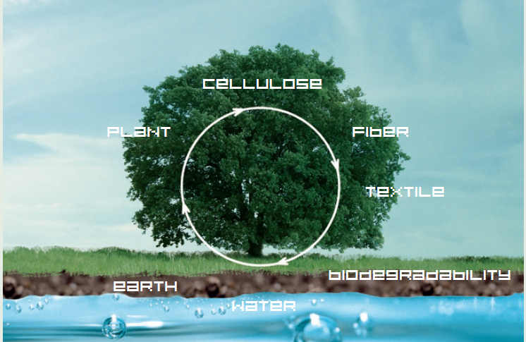 Hygienice vs Synthetic