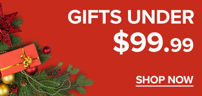 Shop Gifts Under 99.99