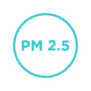 PM 2.5 & 1.0 Logo