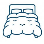 Comforter