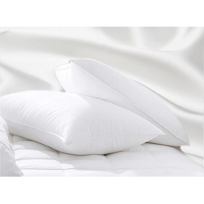 Ramesses Sumptuous Mulberry Silk Pillows Twin Pack