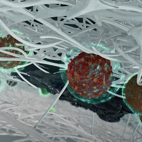 Activated Coconut Carbon