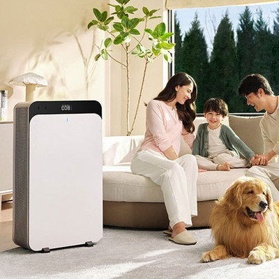 Air Purifier Buying Guide