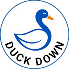 Downia Everyday 85% Duck Feather and Down Pillow