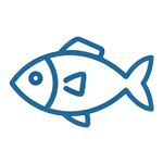 Oily Fish