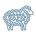 Sheep's Wool
