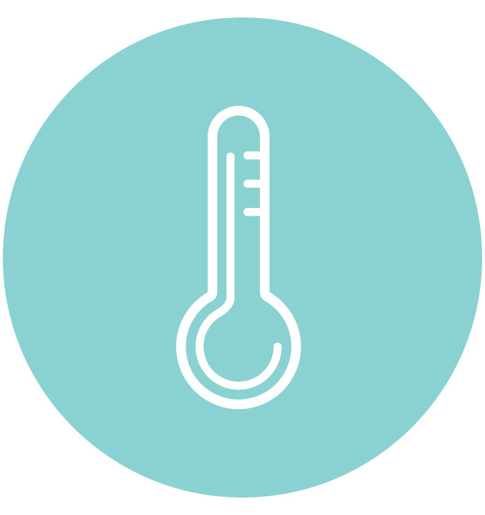 Temperature Sensor